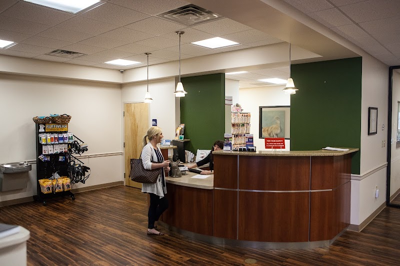 Veterinary Referral Surgical Practice