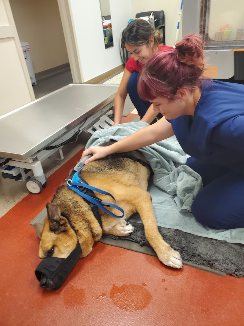 Veterinary Referral Surgical Practice - Roswell