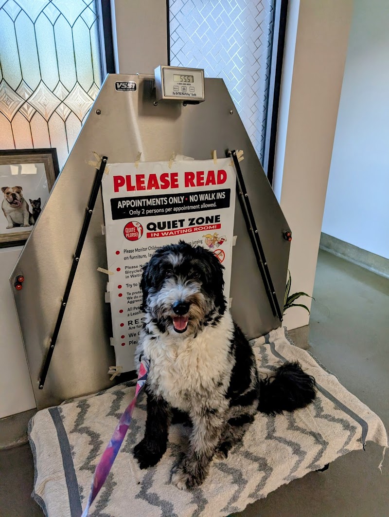 Aborn Pet Clinic