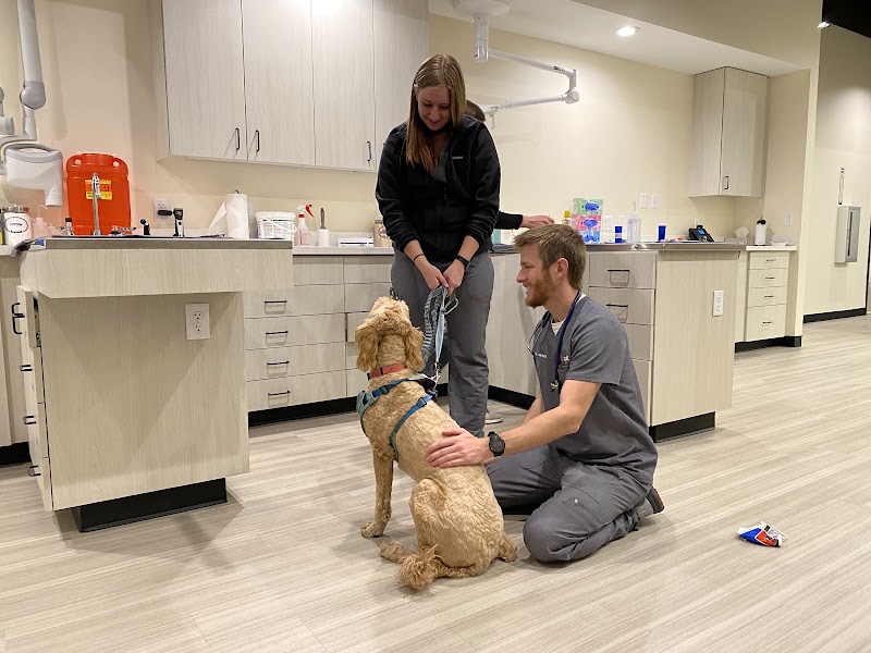 Sploot Veterinary Care - Highlands