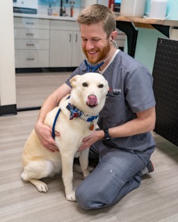 Sploot Veterinary Care - Highlands