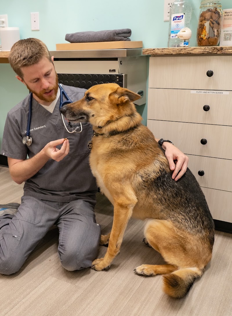 Sploot Veterinary Care - Highlands