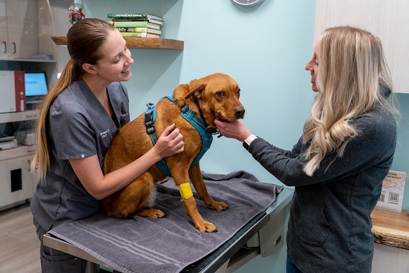 Sploot Veterinary Care - Highlands
