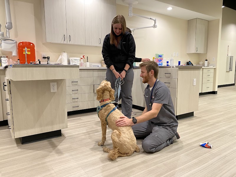 Sploot Veterinary Care - Highlands