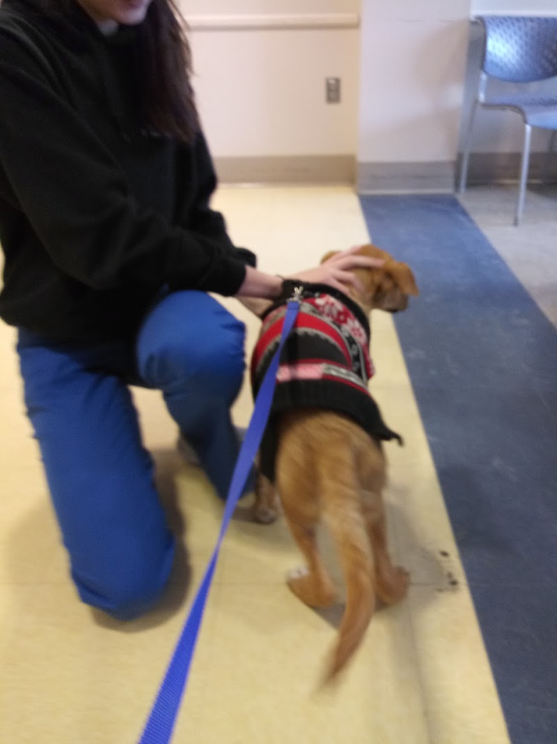 Tufts at Tech Community Veterinary Clinic