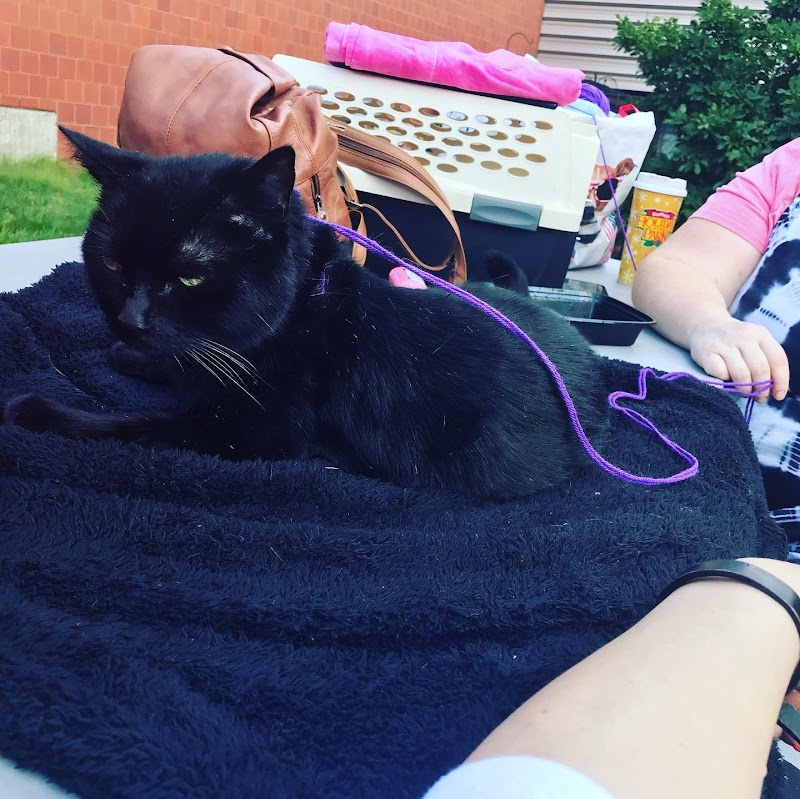 Tufts at Tech Community Veterinary Clinic