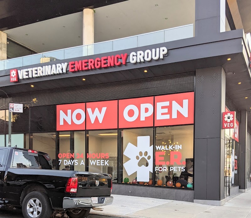 VEG ER for Pets