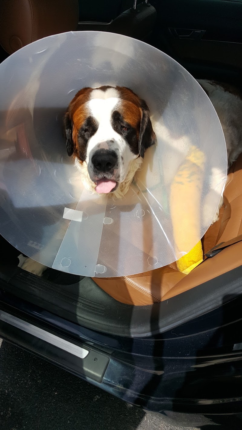 Northeast Veterinary Referral Hospital