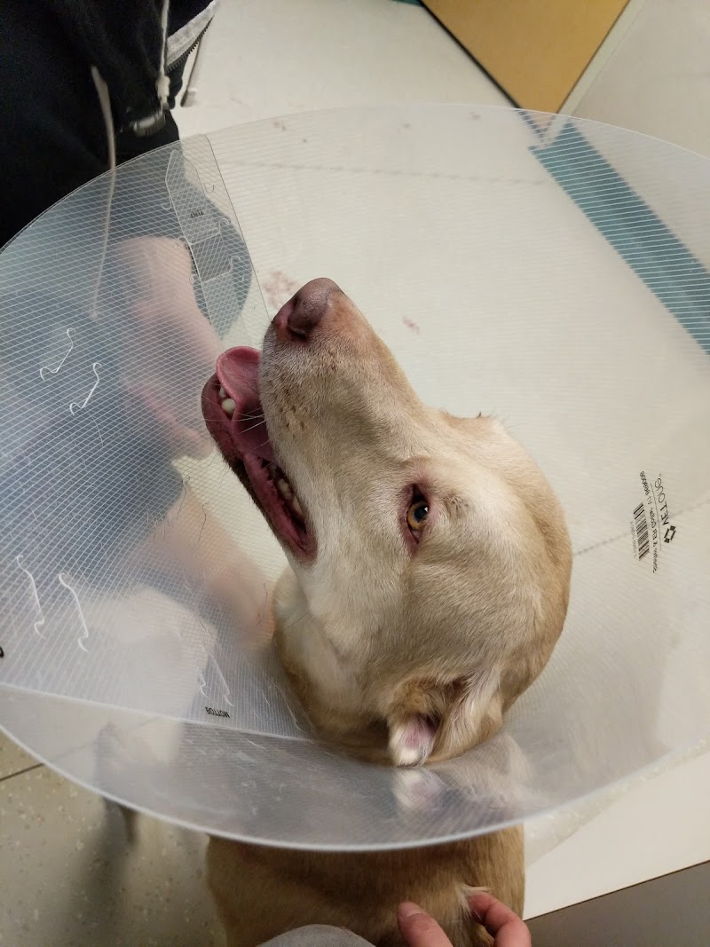 Northeast Veterinary Referral Hospital