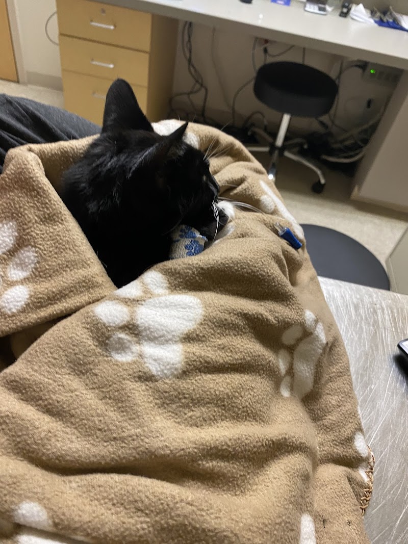 Northeast Veterinary Referral Hospital