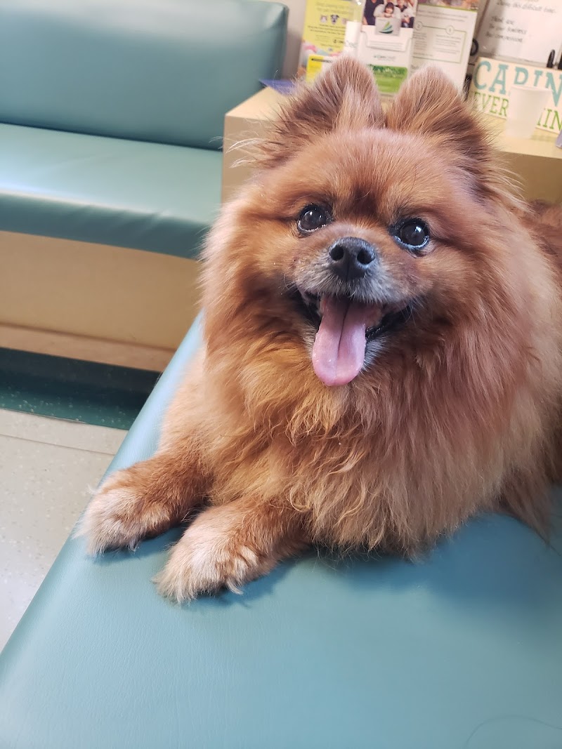 Northeast Veterinary Referral Hospital