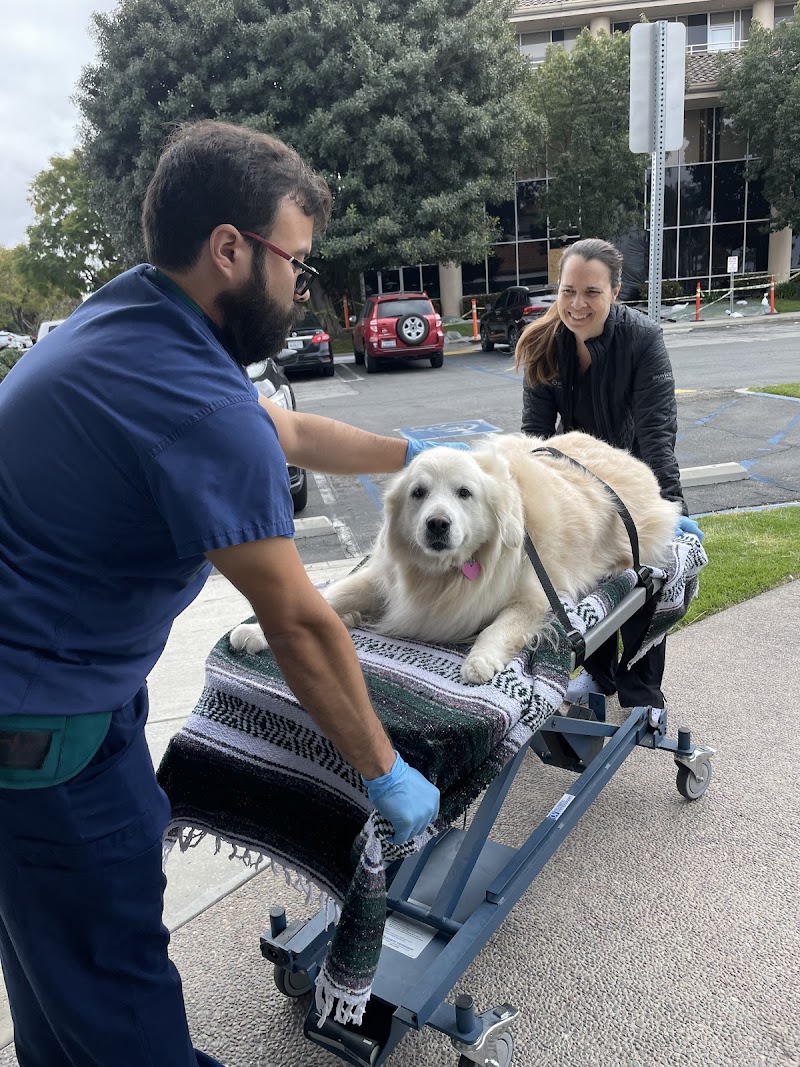 Thrive Pet Healthcare Urgent Care – Torrance