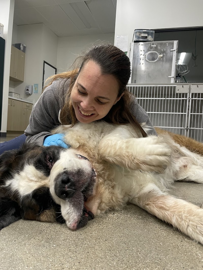 Thrive Pet Healthcare Urgent Care – Torrance