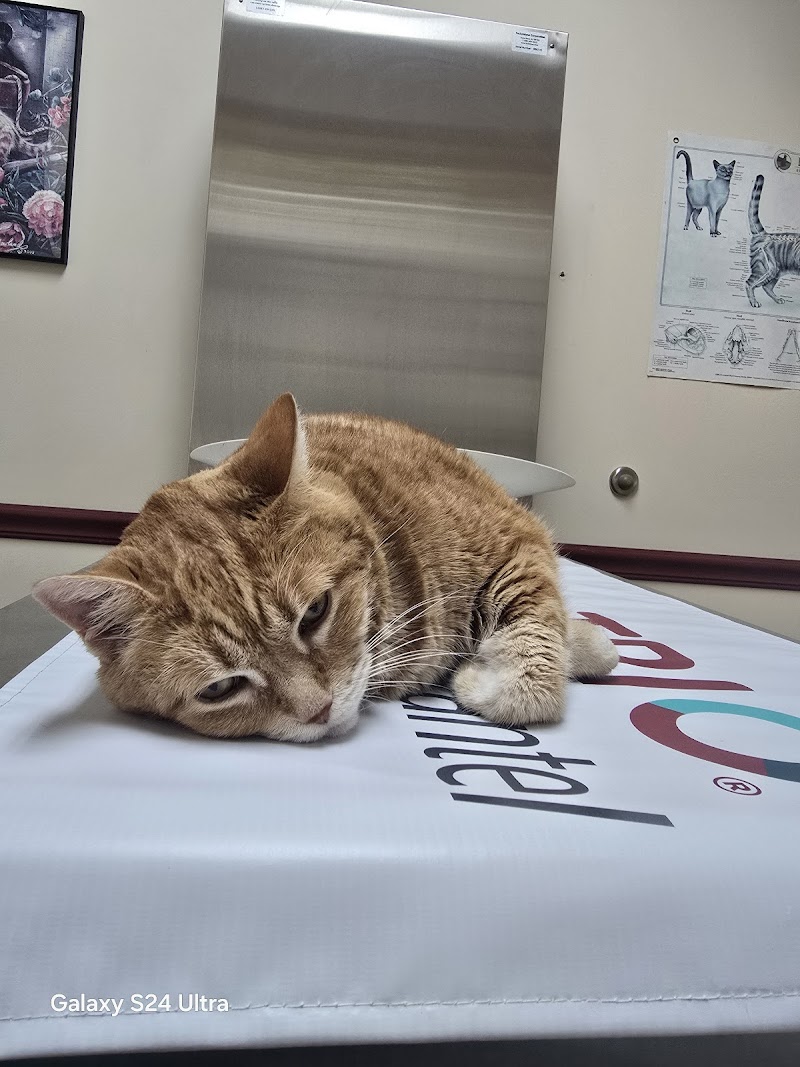 Richboro Veterinary Hospital