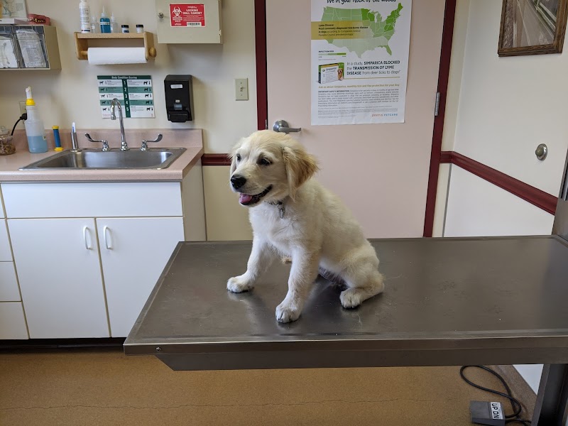 Richboro Veterinary Hospital