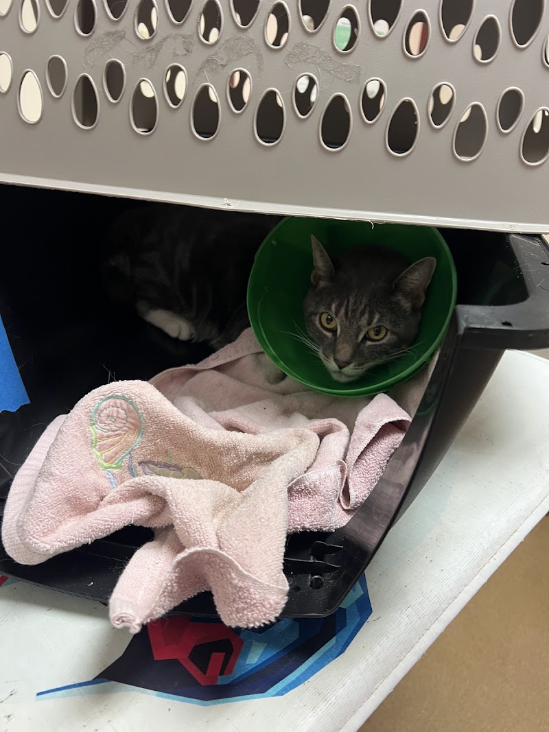 Richboro Veterinary Hospital