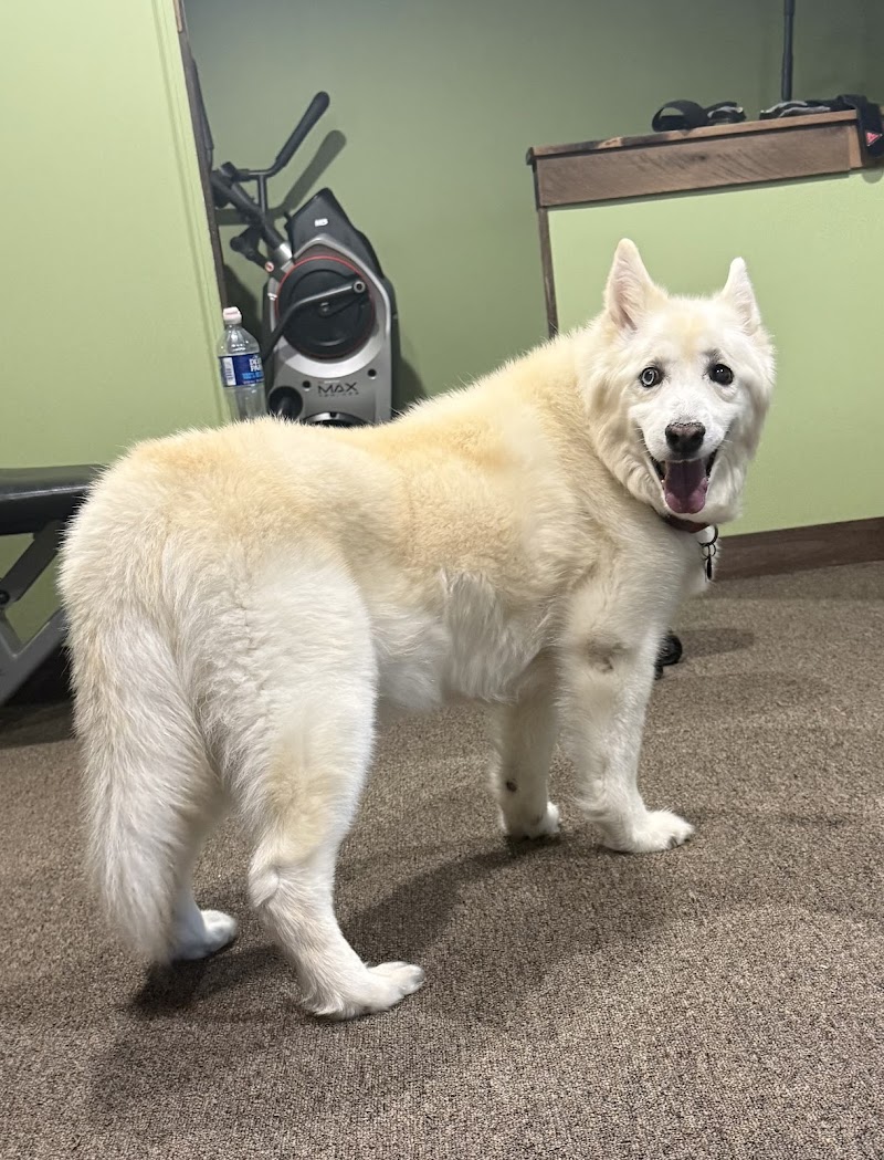 Richboro Veterinary Hospital