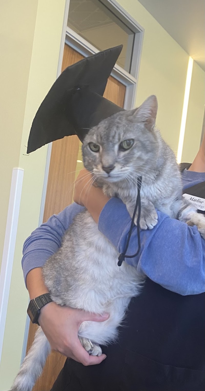Animal Cancer Care Clinic