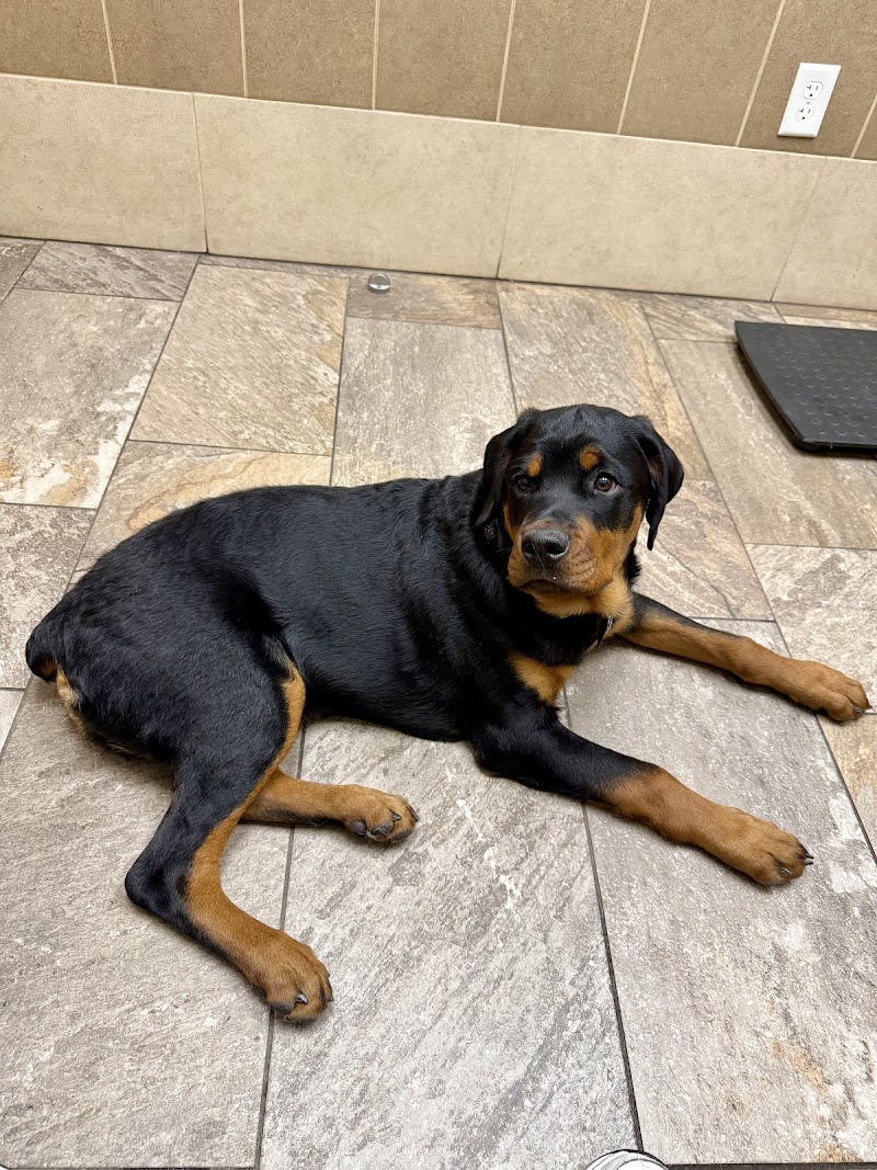 Parker Center Animal Clinic