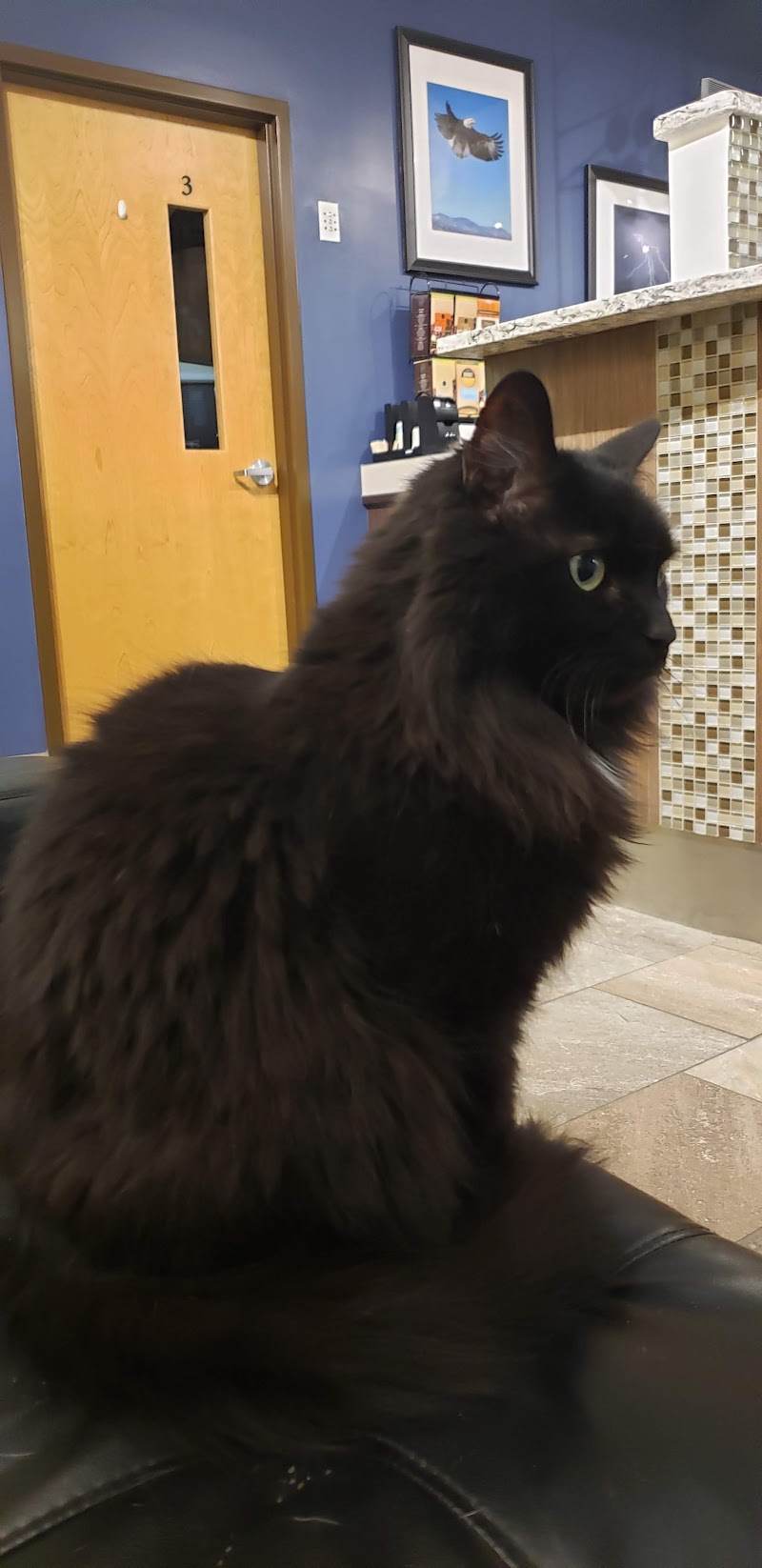 Parker Center Animal Clinic