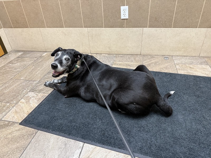 Parker Center Animal Clinic