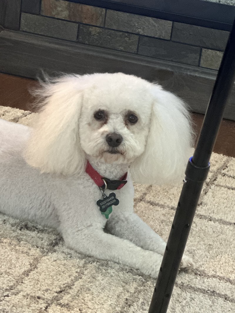 Towne North Animal Hospital