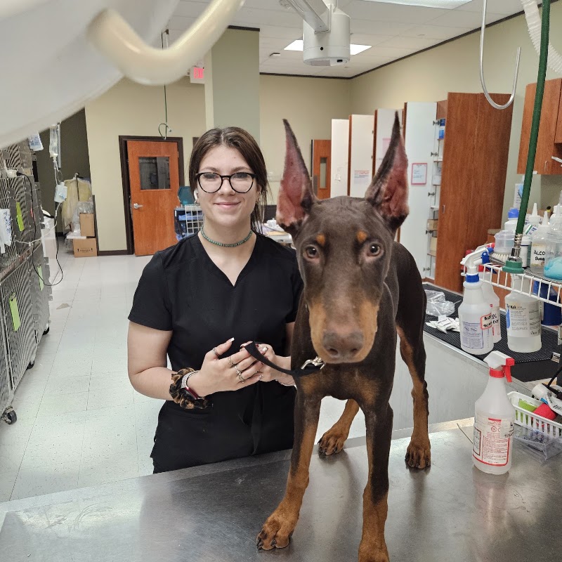 Best Care Animal Hospital
