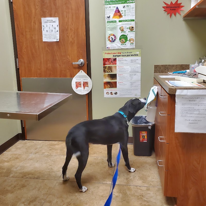 Best Care Animal Hospital