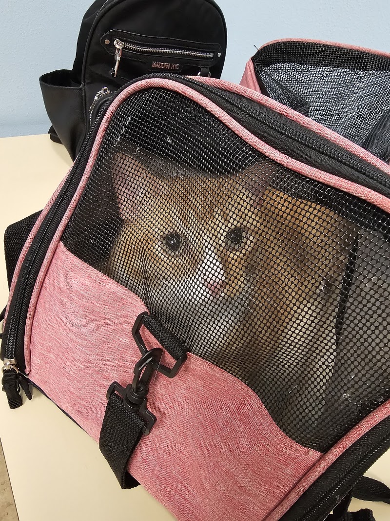 Best Care Animal Hospital