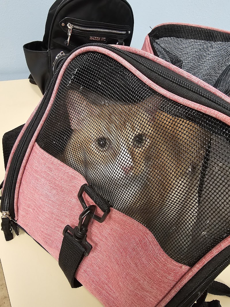 Best Care Animal Hospital