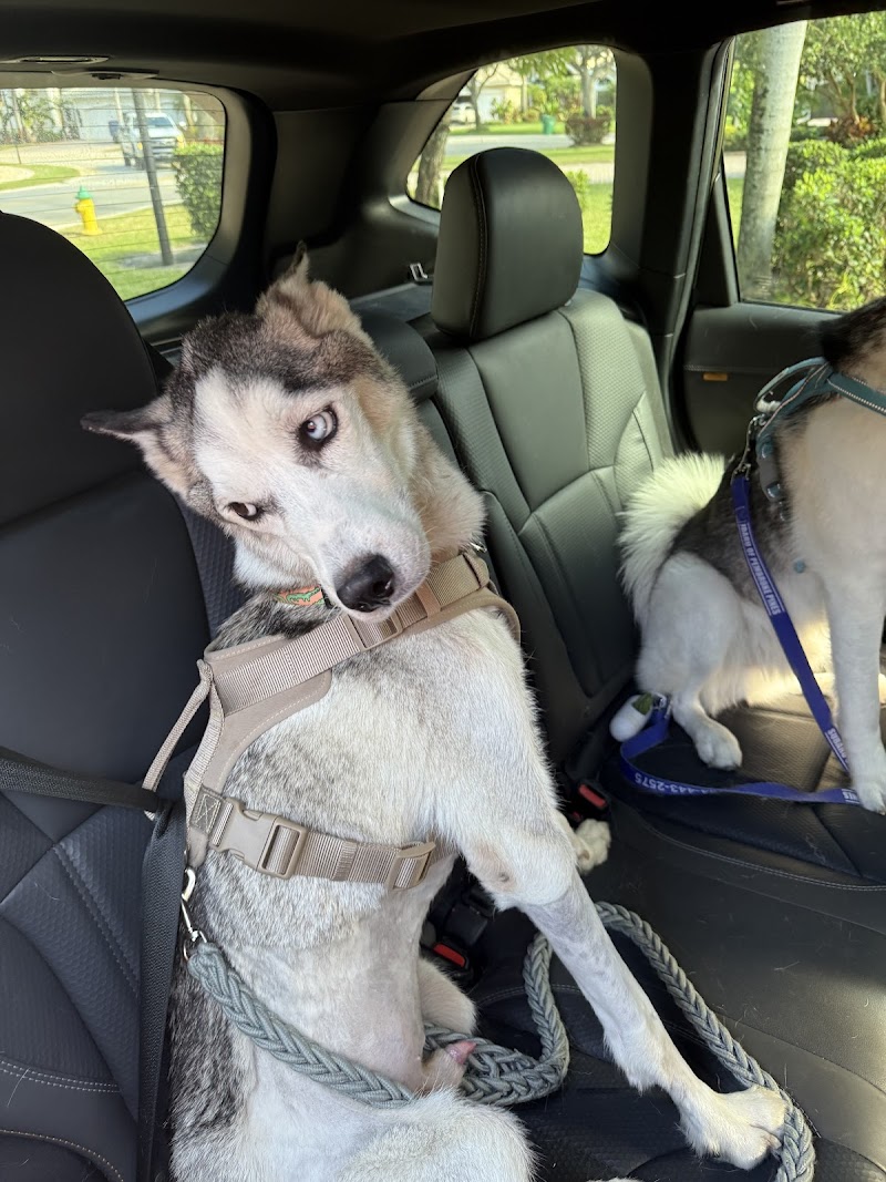 LeadER Animal Specialty Hospital Cooper City
