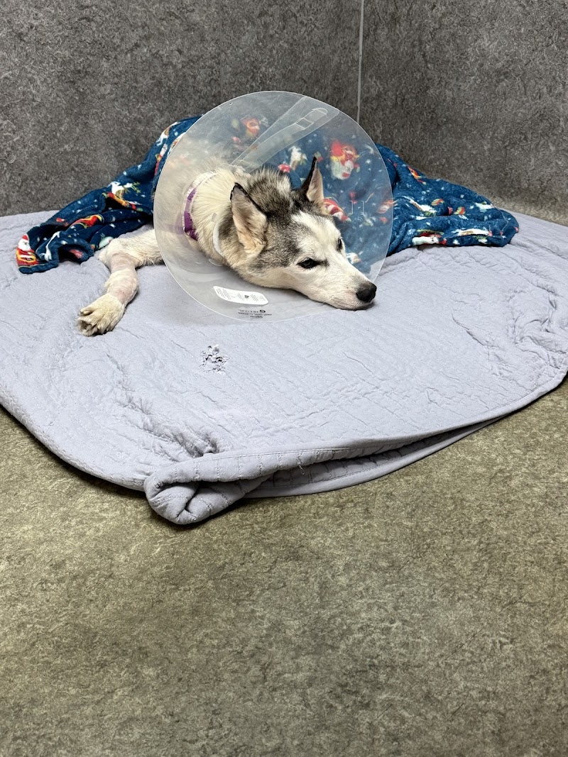 LeadER Animal Specialty Hospital Cooper City