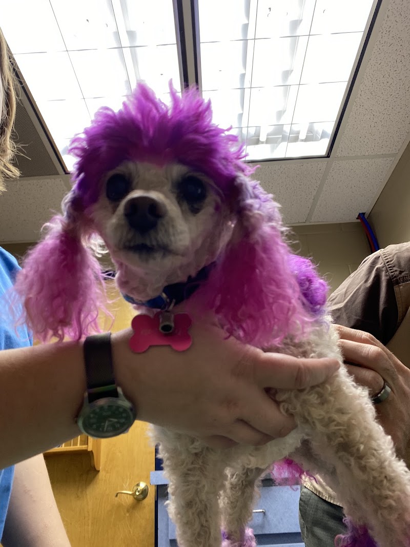 Gwinnett Animal Hospital