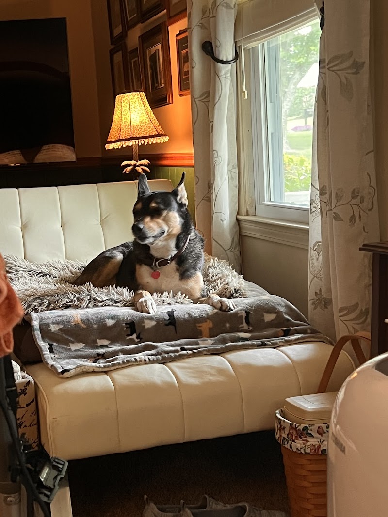 Gwinnett Animal Hospital