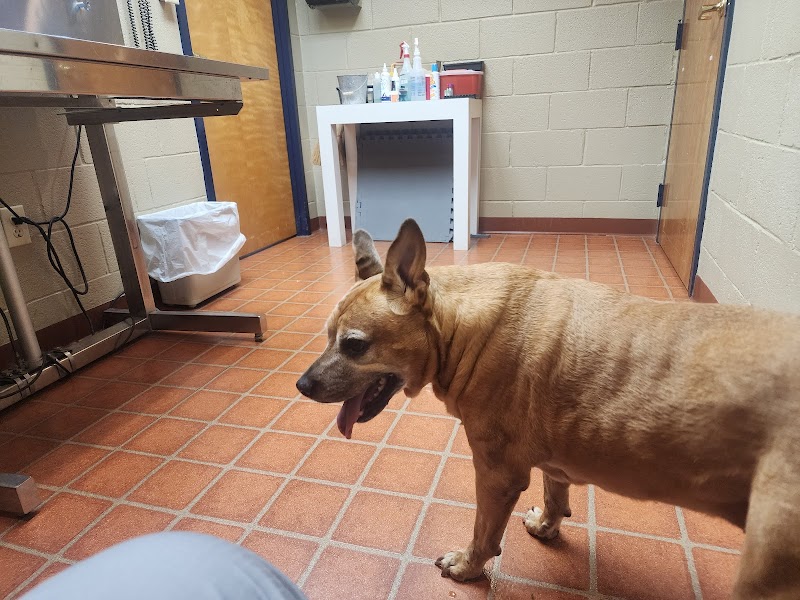 Gwinnett Animal Hospital