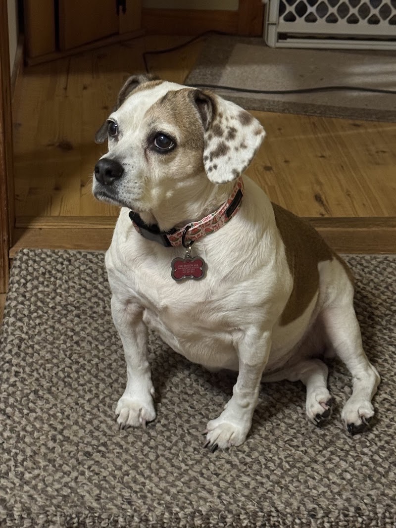 Northfield Veterinary Center