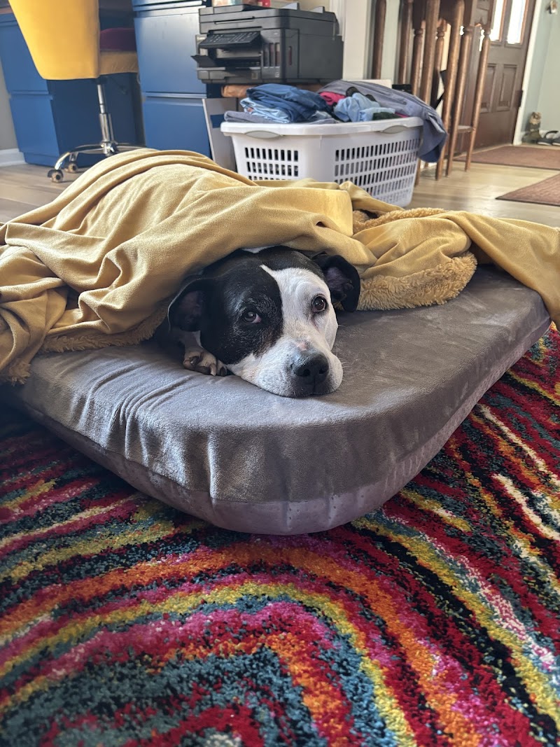 Northfield Veterinary Center