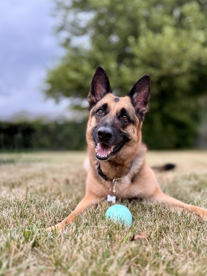 Northfield Veterinary Center
