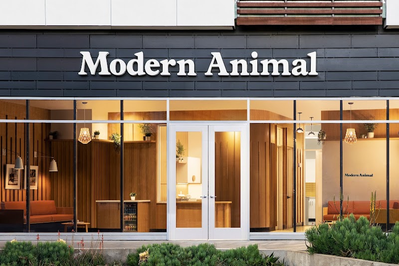 Modern Animal Playa Vista