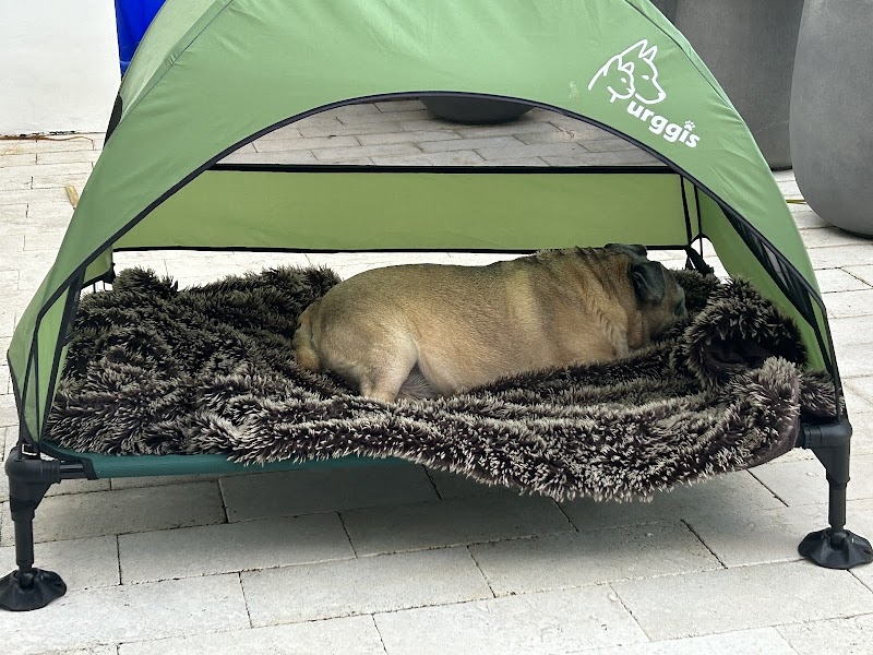 Miami Veterinary Specialists: Emergency Room