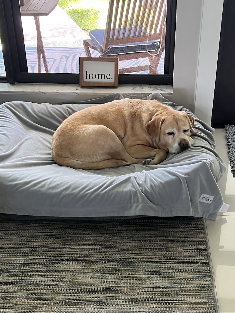 Miami Veterinary Specialists: Emergency Room
