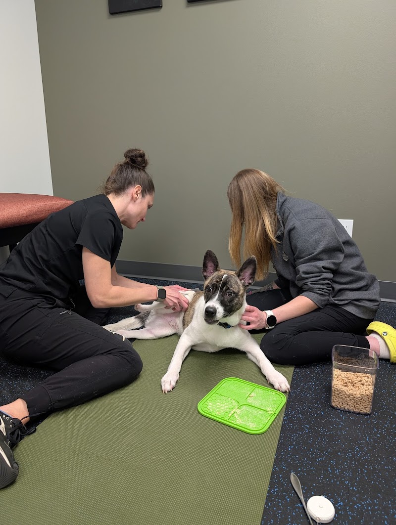 Twin Cities Animal Rehabilitation + Sports Medicine Clinic - North