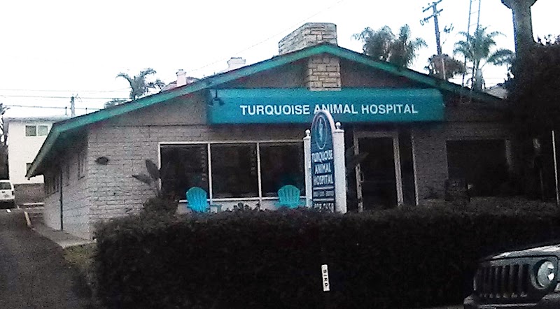 Turquoise Animal Hospital