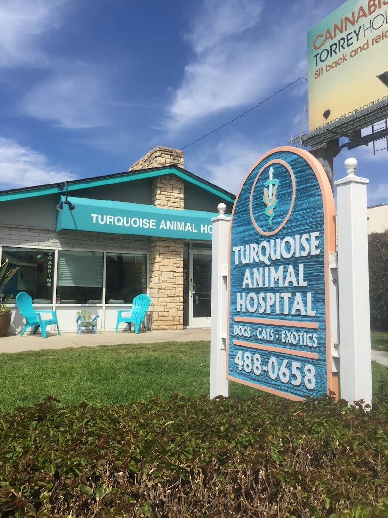 Turquoise Animal Hospital