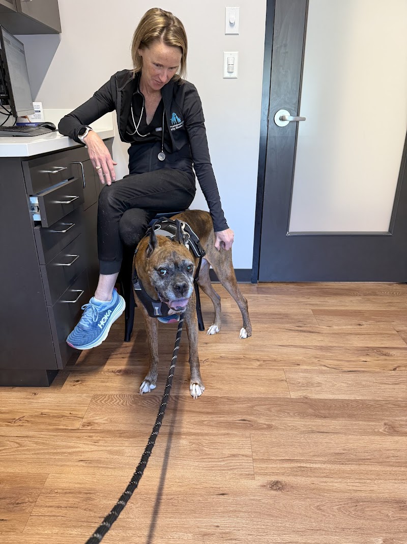 True Animal Vet - The Woodlands