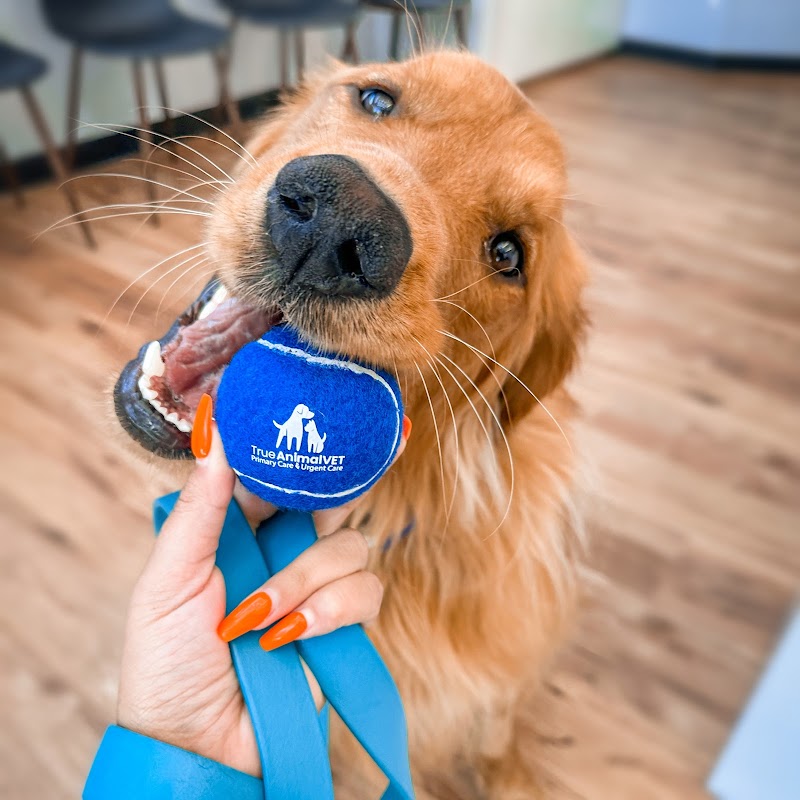 True Animal Vet - The Woodlands
