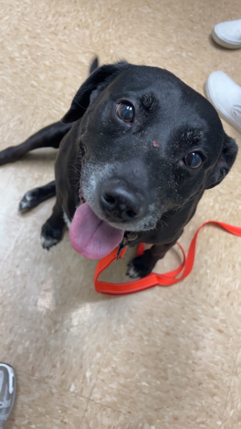 Sugar Land Veterinary Specialists & Emergency Care
