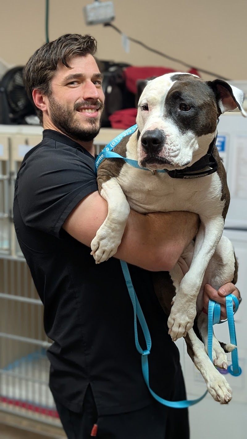 Animal Emergency Hospital of North Texas