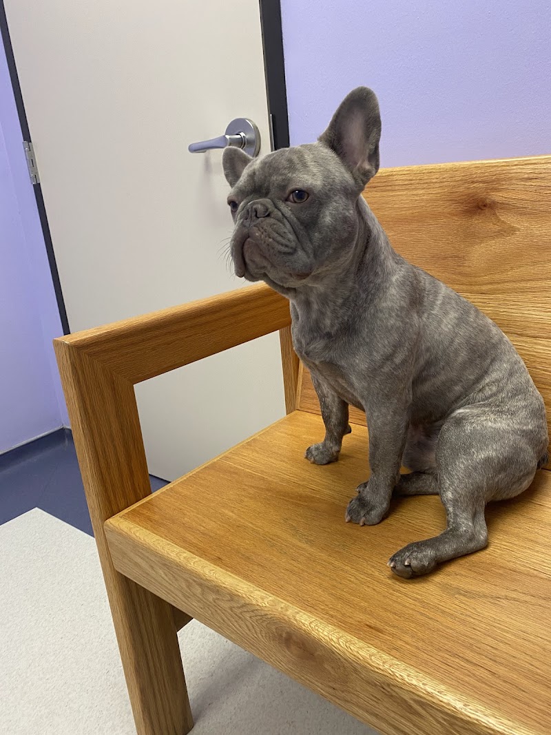 Sugar Land Pet Hospital