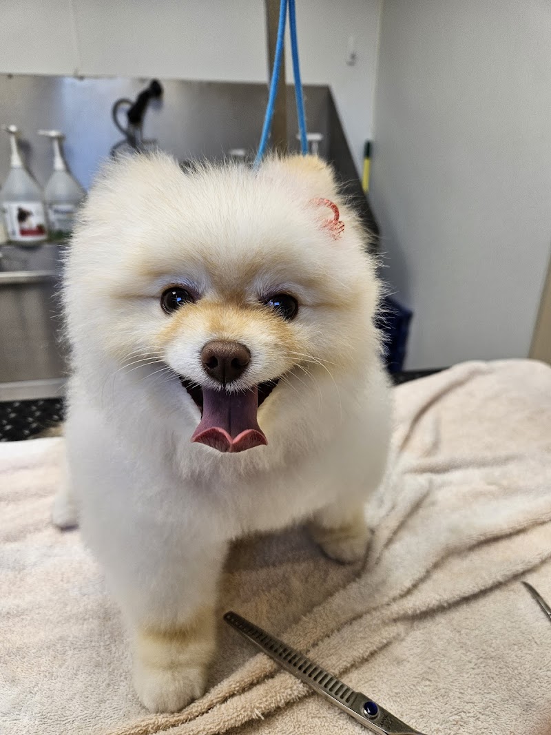 Sugar Land Pet Hospital